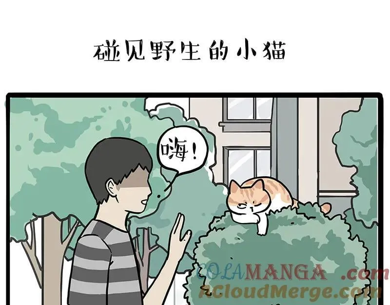 第429话 偷感14