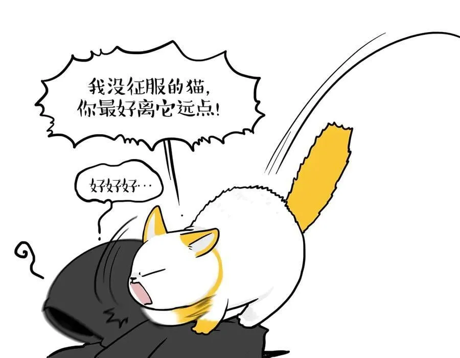 第431话 老大和老大？22