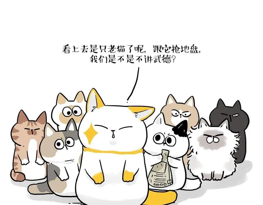 第431话 老大和老大？2