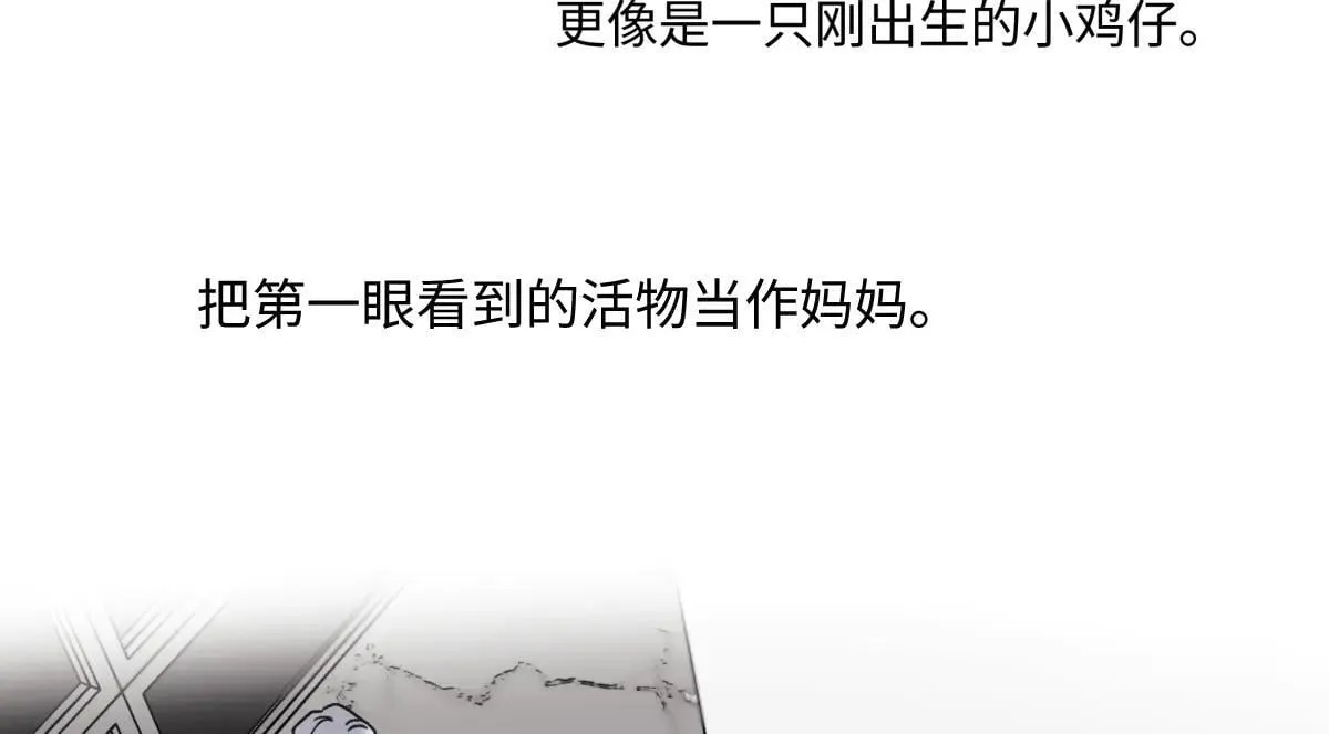 82 顺其自然31
