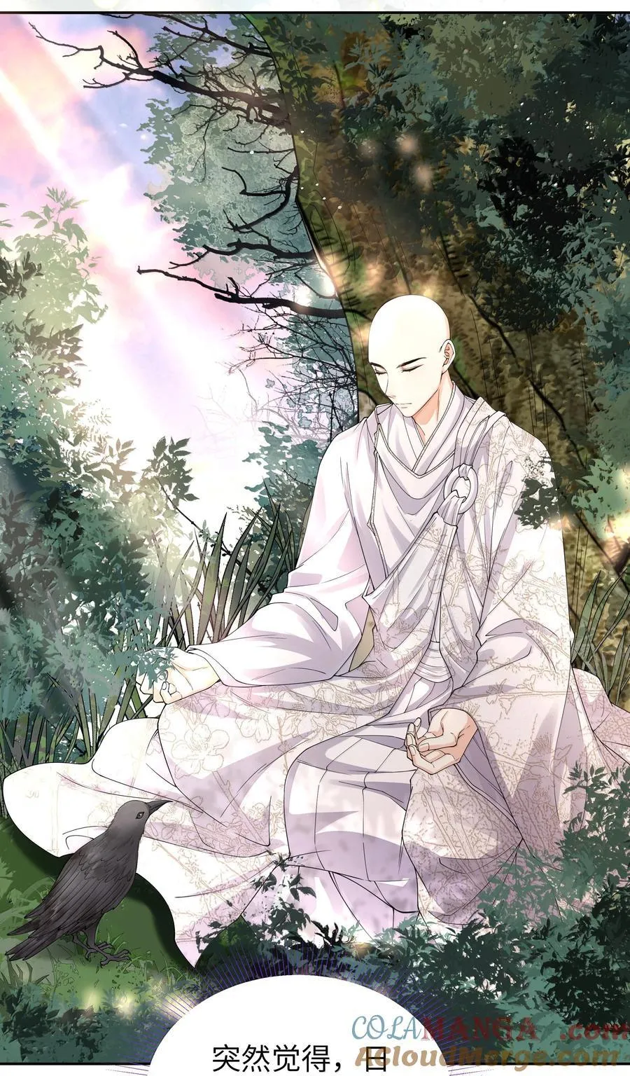 114 承诺30