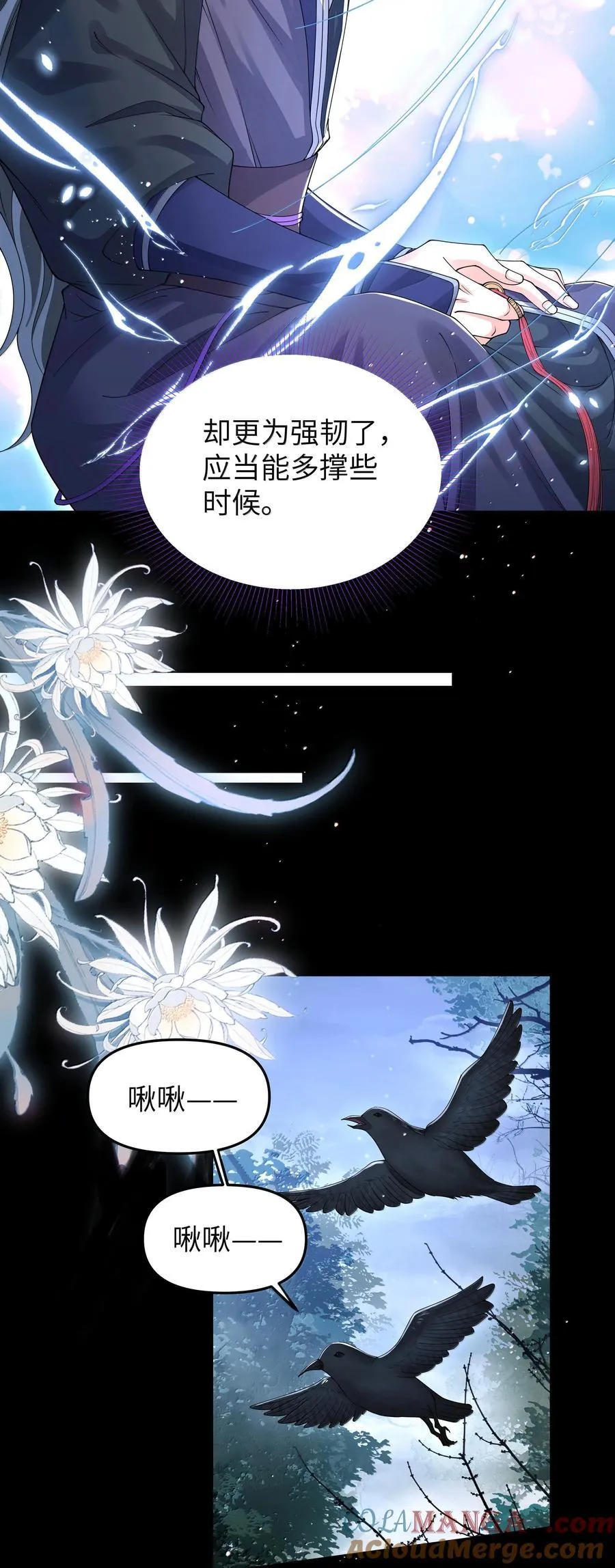 114 承诺16