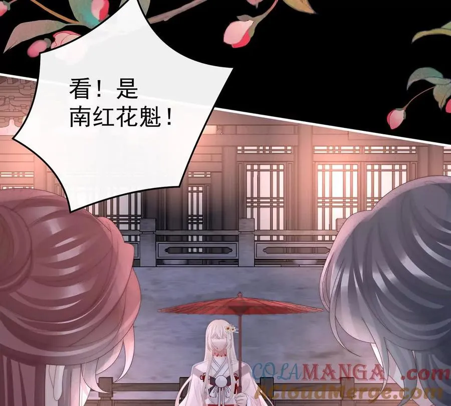 137 为了天喜阁28