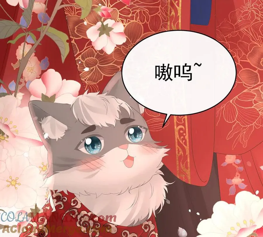 141 天喜红鸾 上32