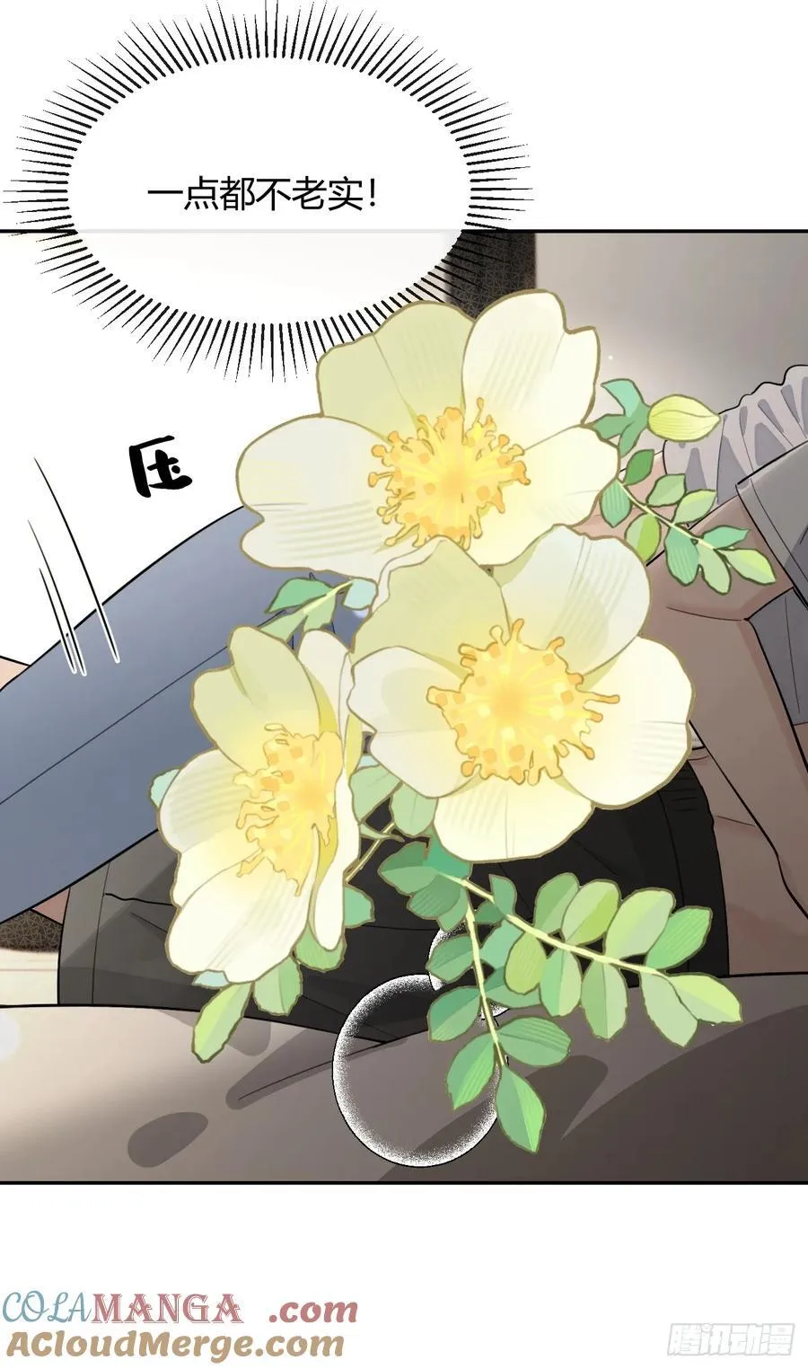 95. 就吃一口36