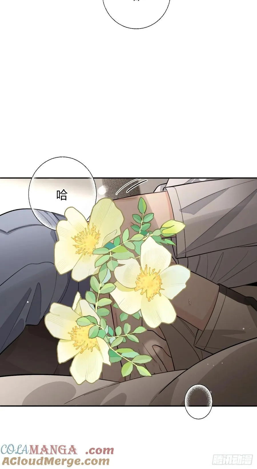 95. 就吃一口33