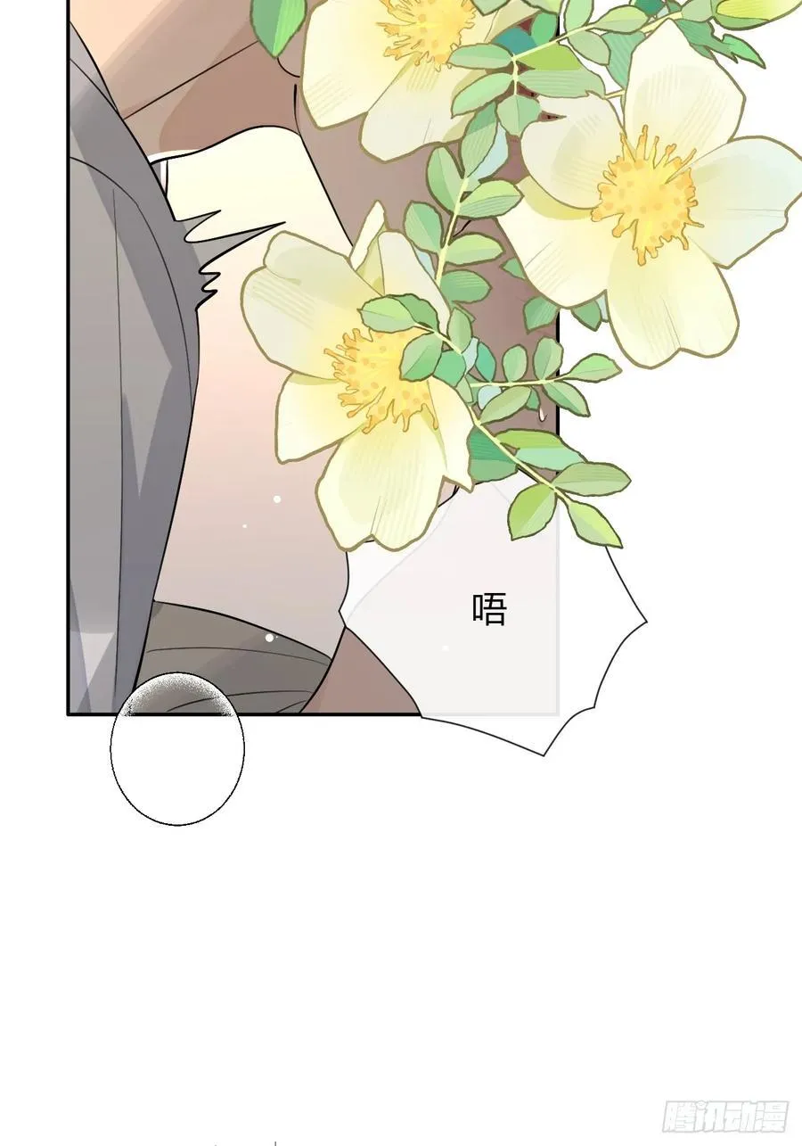 95. 就吃一口35