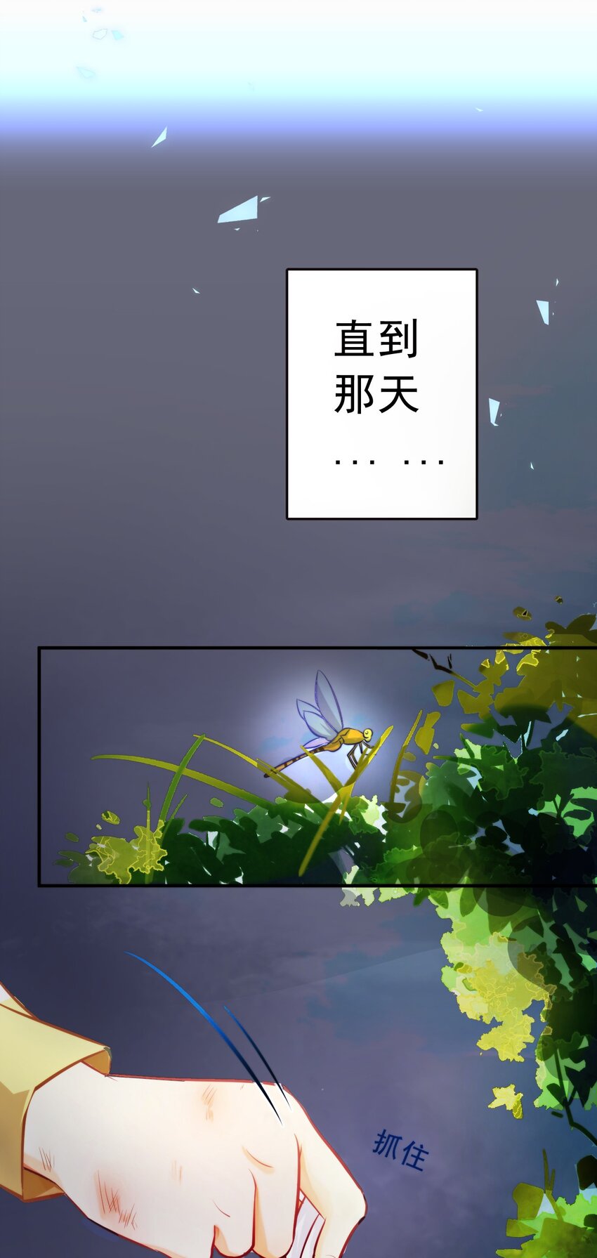 4 一个创可贴24