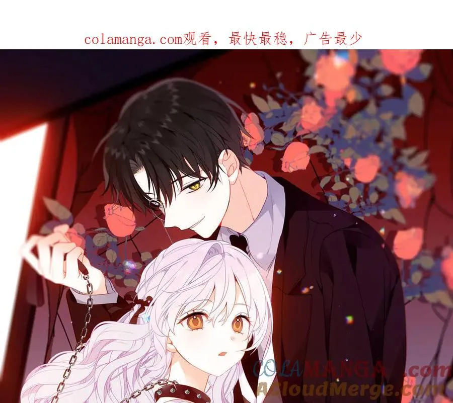 第42话 蛇药0