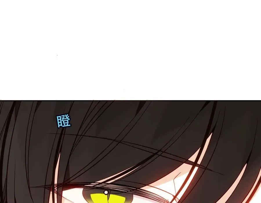第43话 少爷51