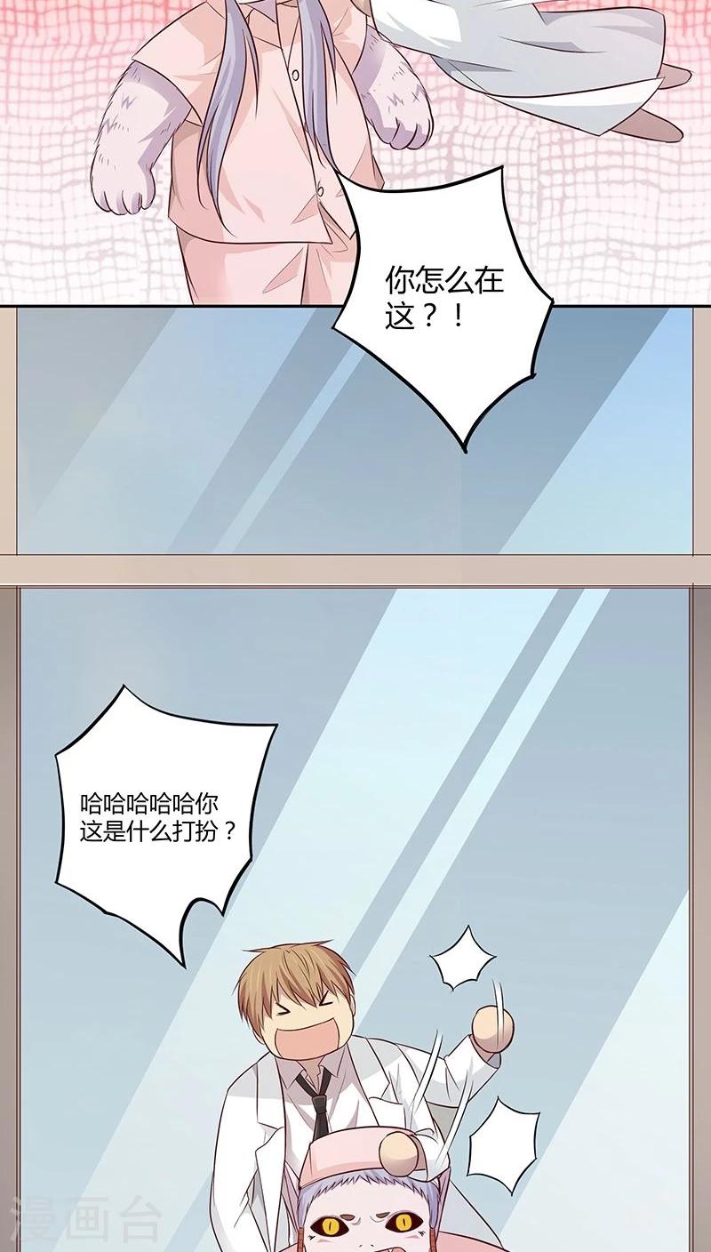 第13话12