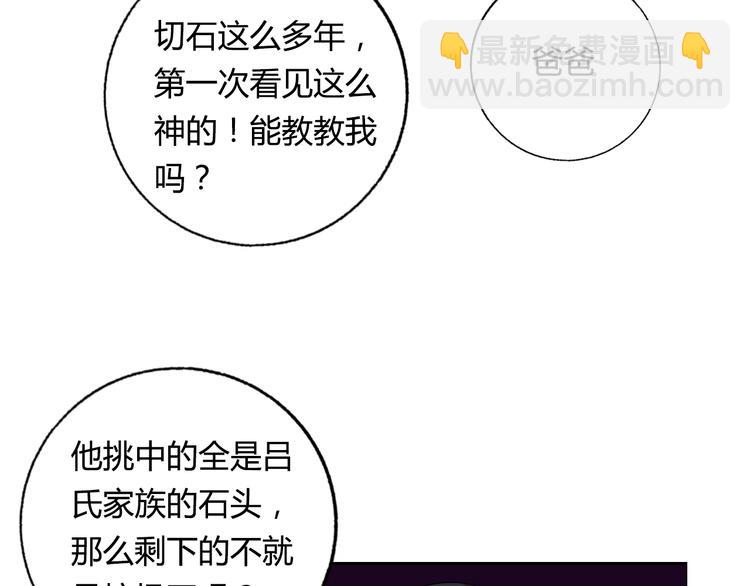 第27话 赌石大会107
