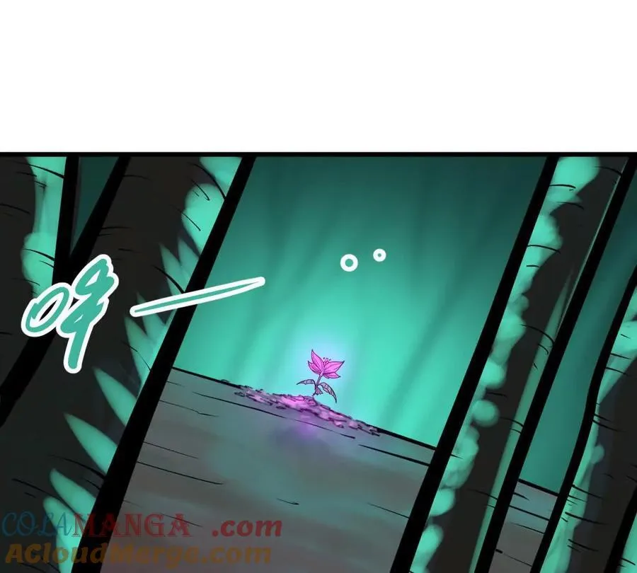 第46回 紫灵玄花4