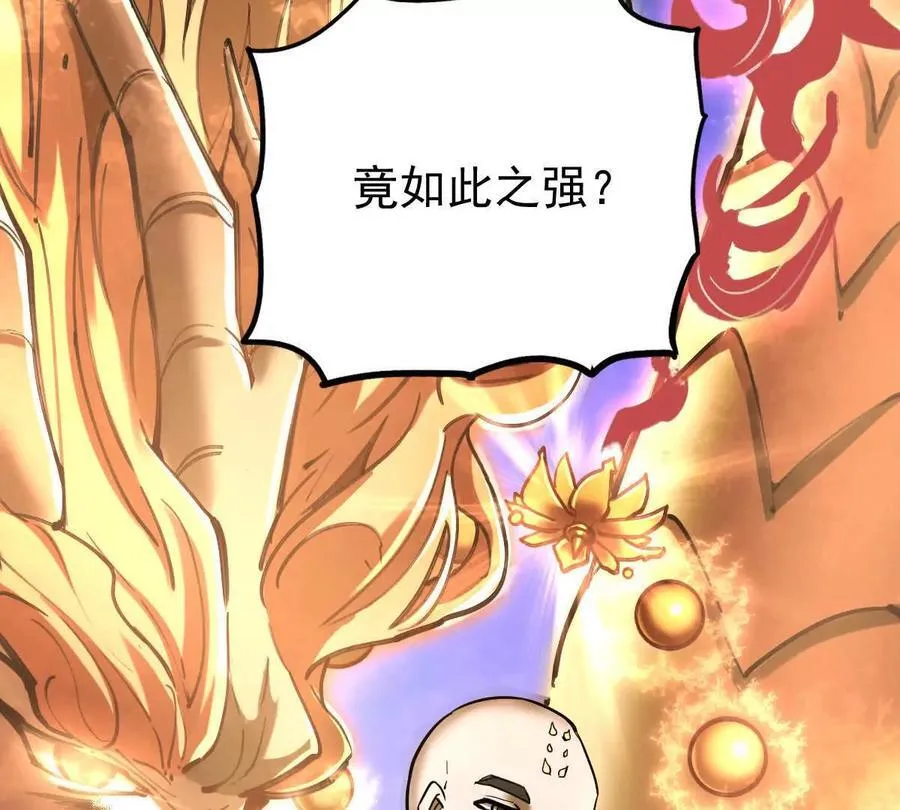第46回 紫灵玄花135