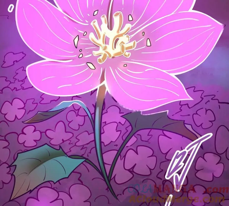 第46回 紫灵玄花8
