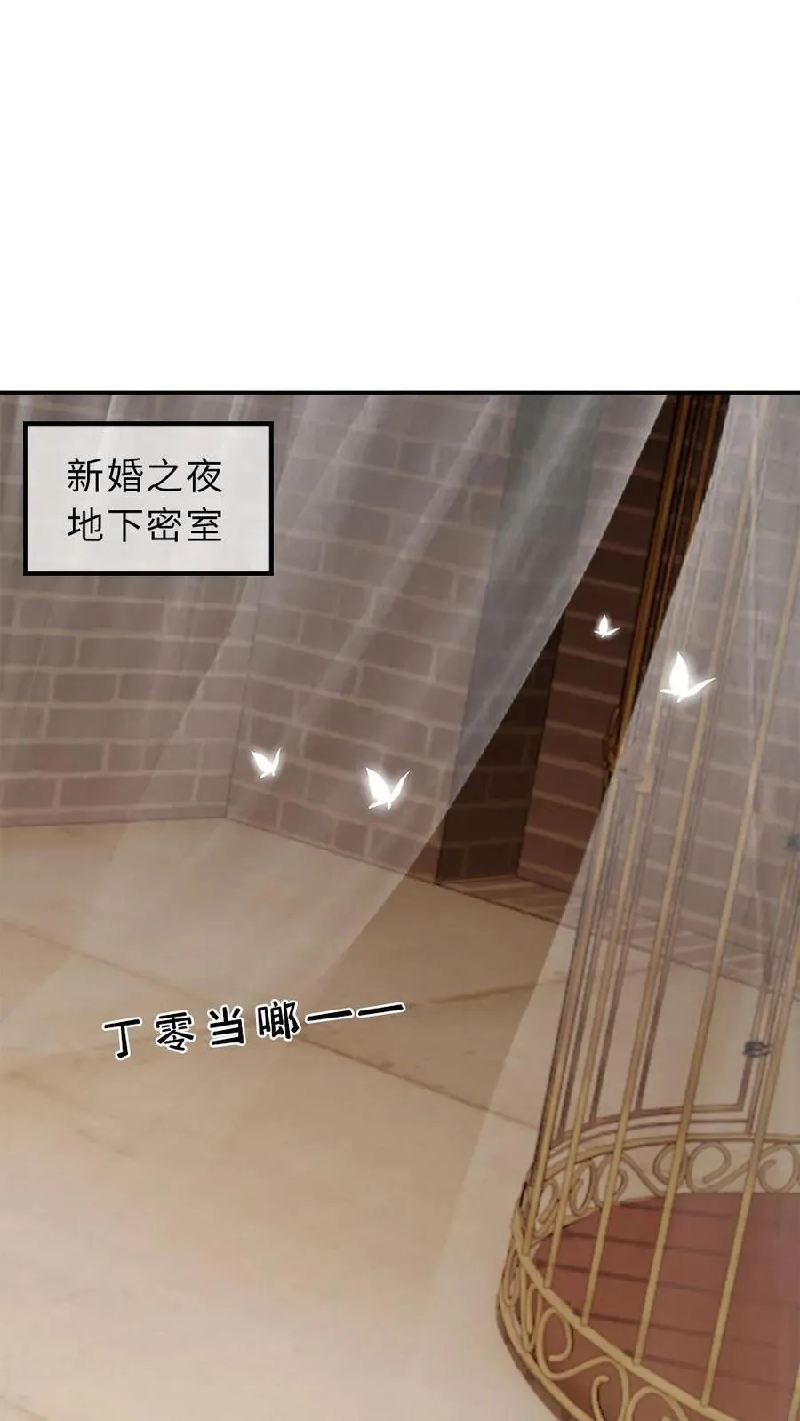 第295话 新婚之夜1