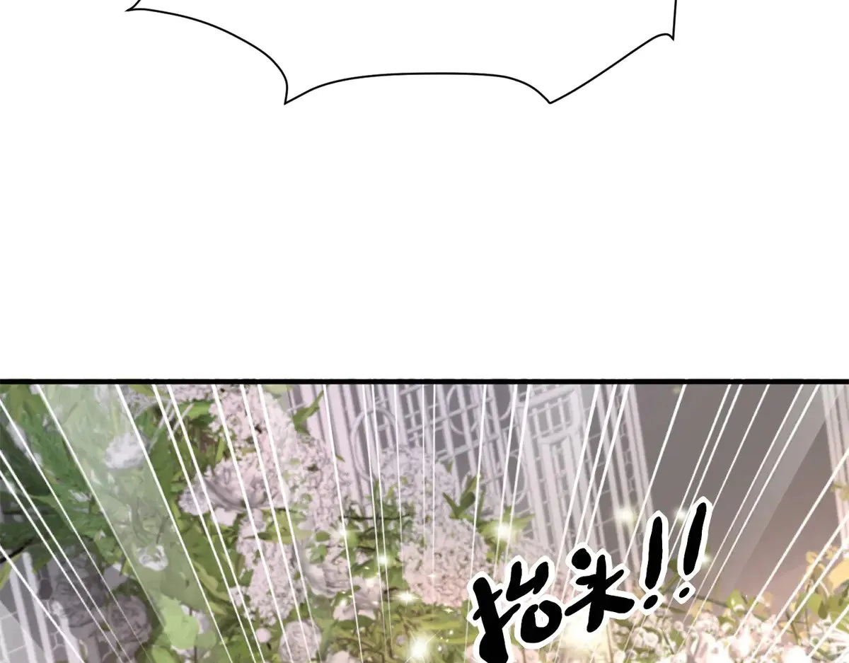 200 一场美梦106