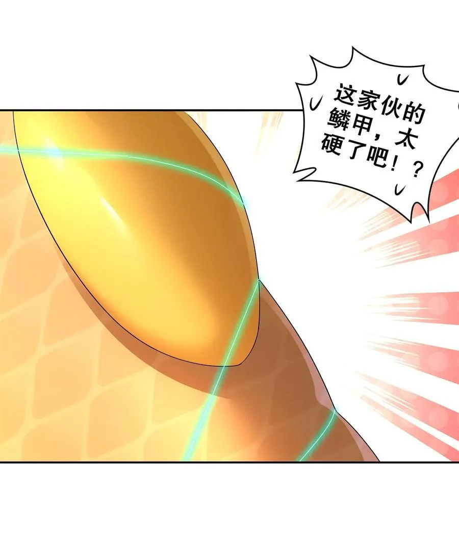 244 金甲地龙23