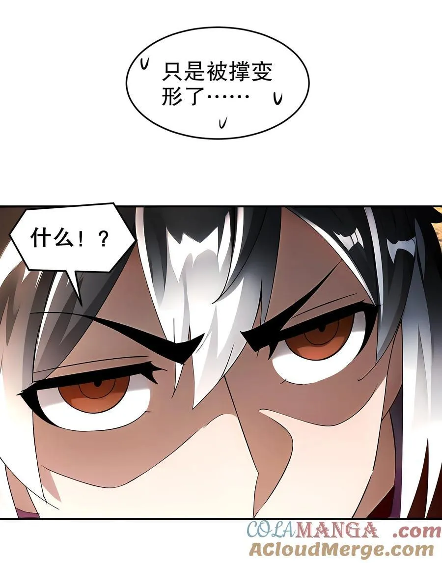 244 金甲地龙22