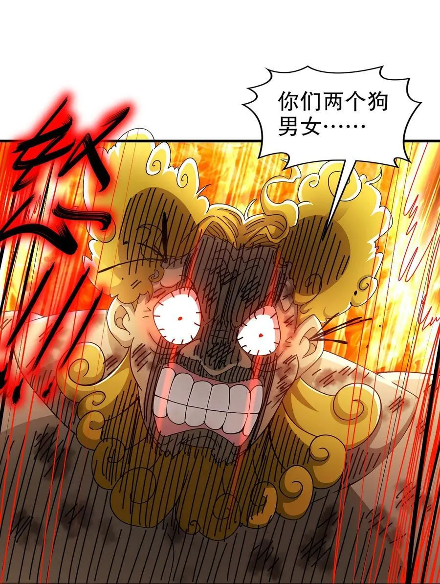 244 金甲地龙13