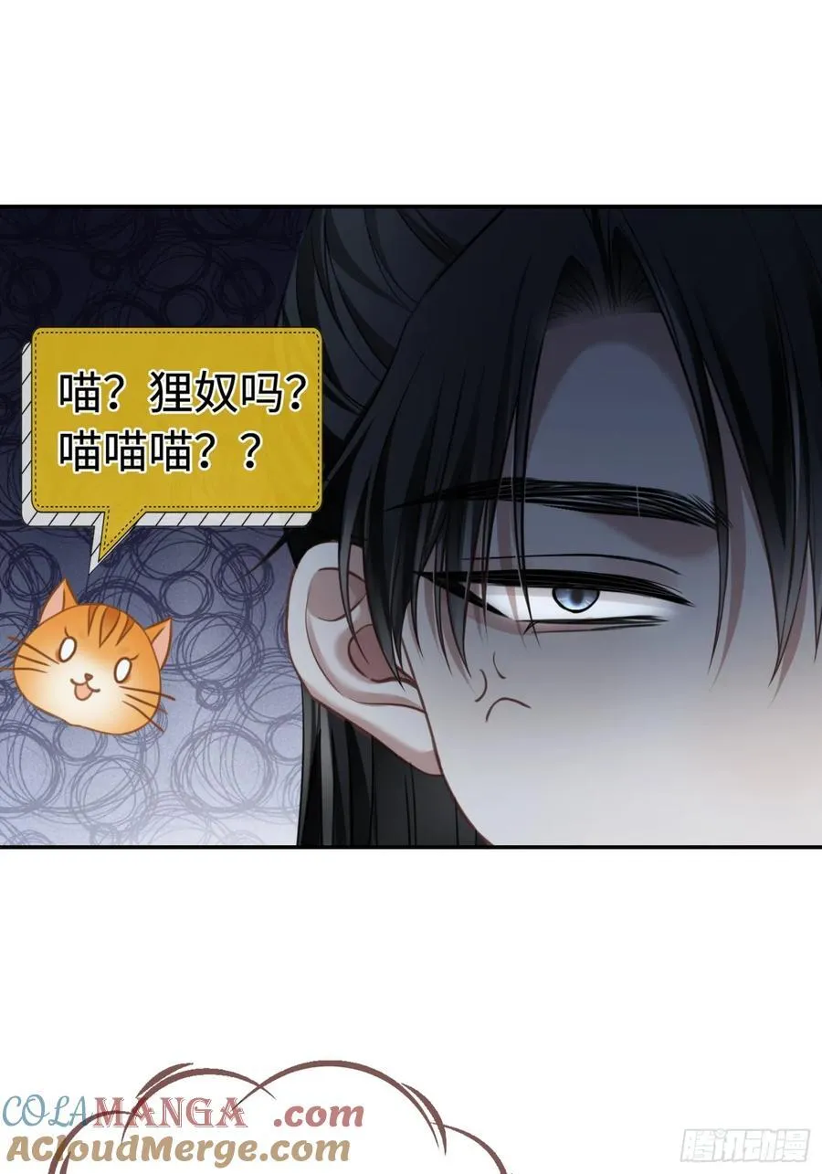 24 太傅变猫猫了？！18
