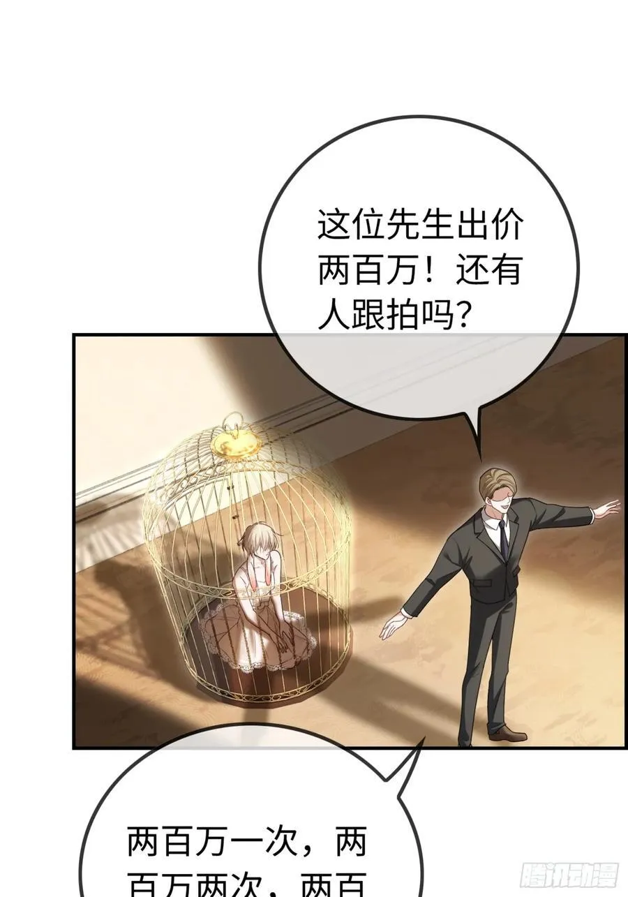 39 兔兔成了拍卖品？！35