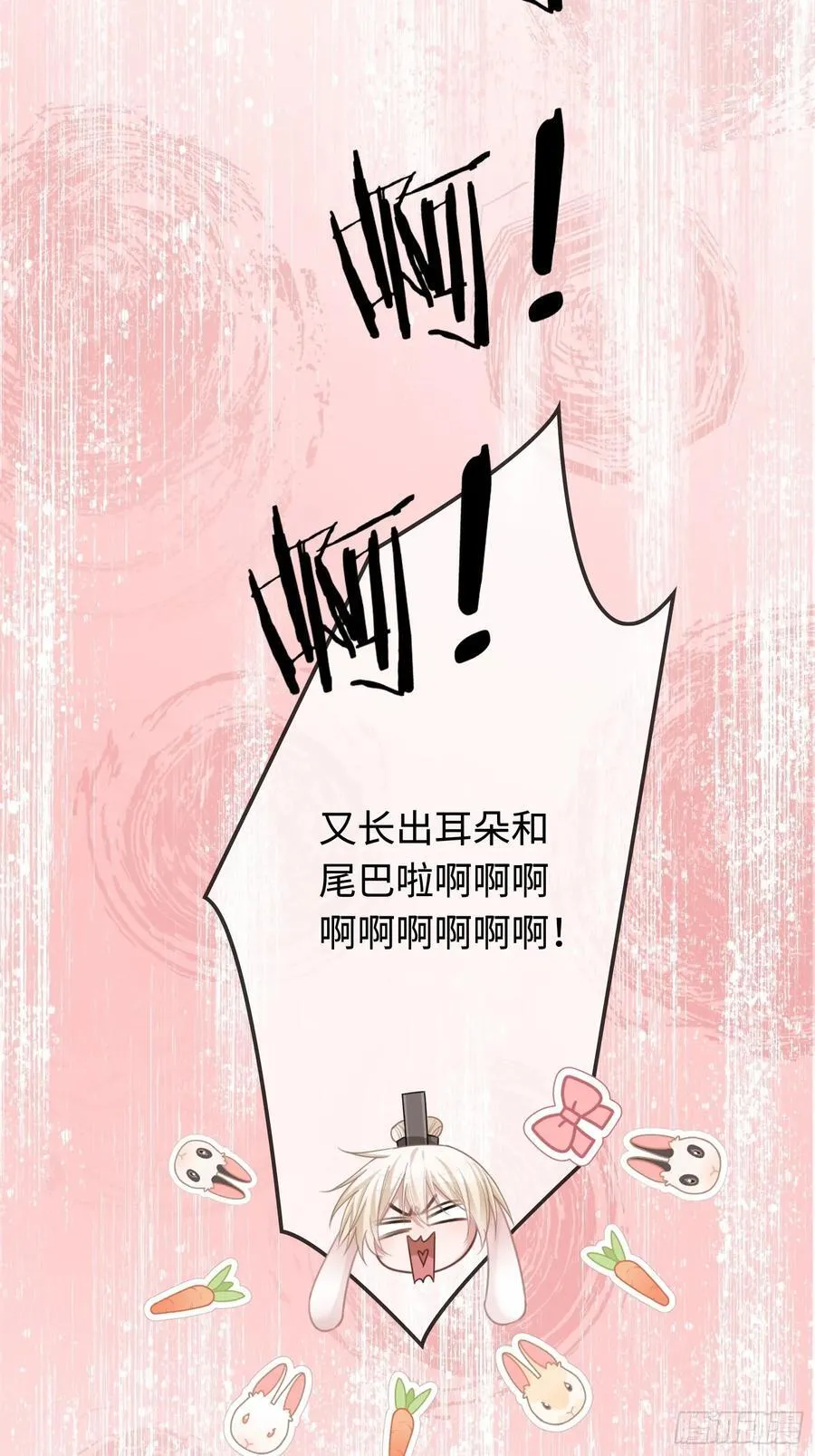 35 兔耳冒出来了！13