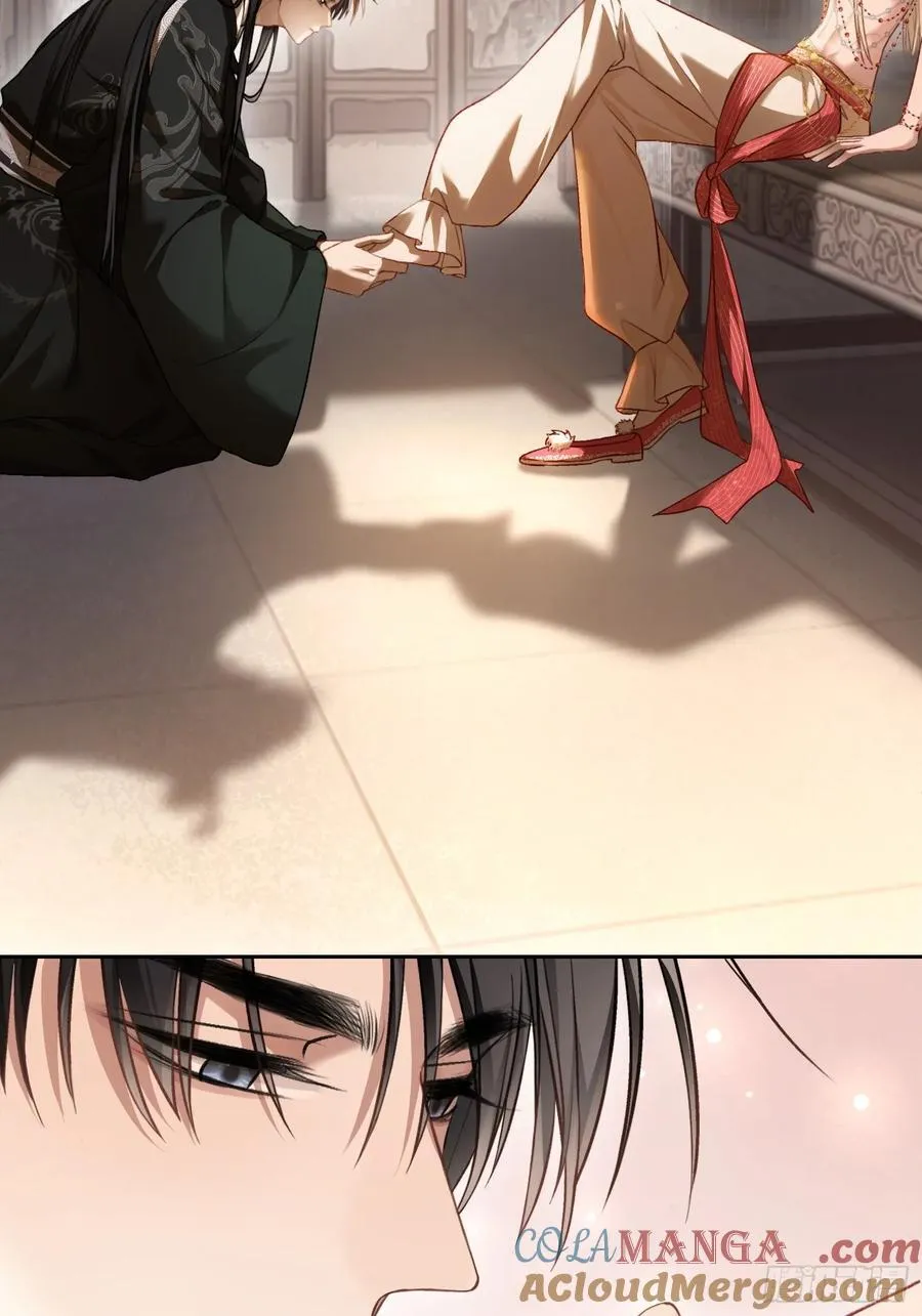 24 太傅变猫猫了？！9
