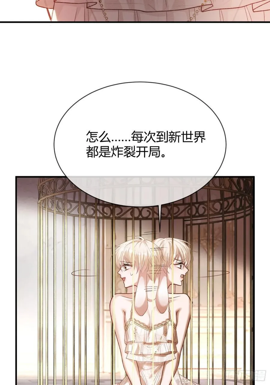 39 兔兔成了拍卖品？！11