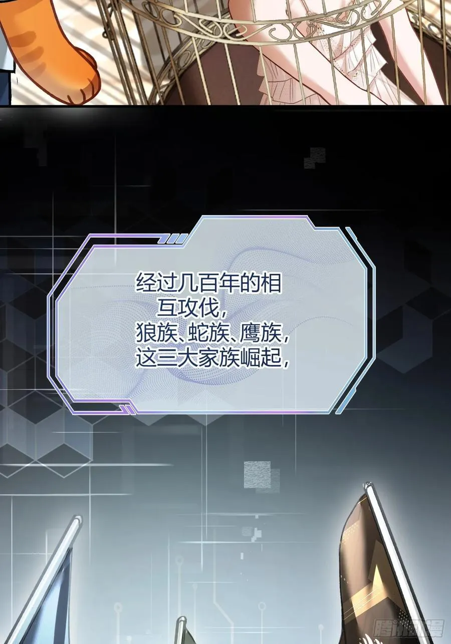 39 兔兔成了拍卖品？！13