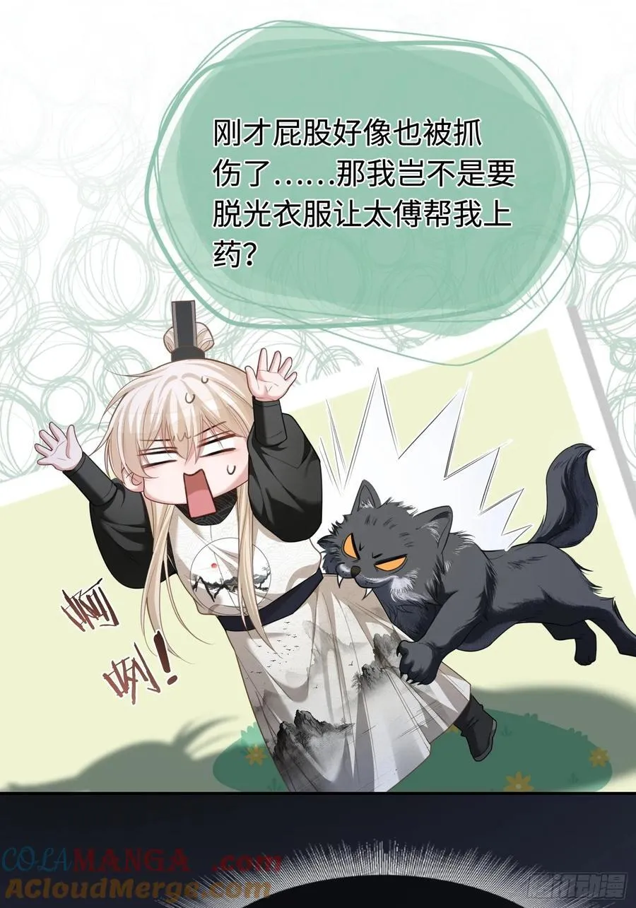 31 太傅的“可怜攻击”8