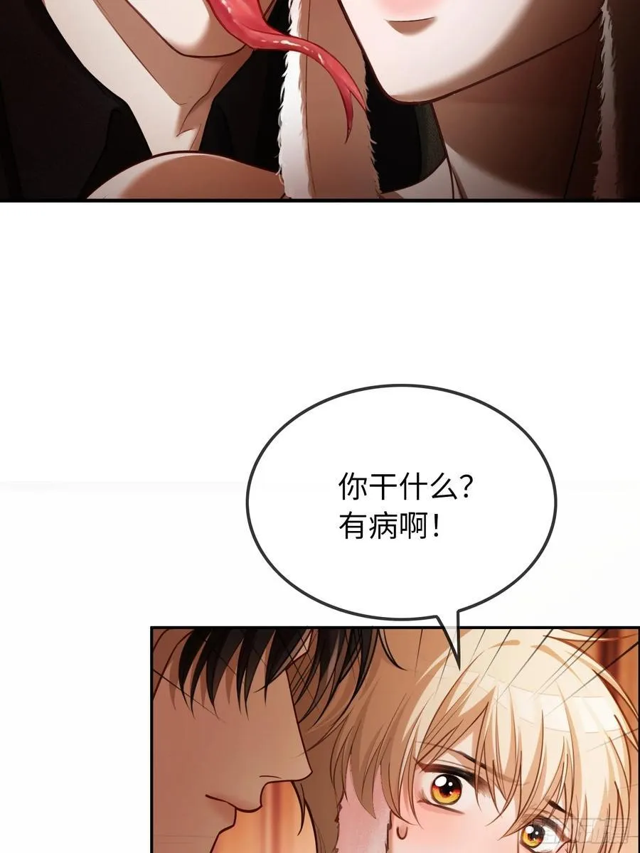 41 兔子急了也咬人2