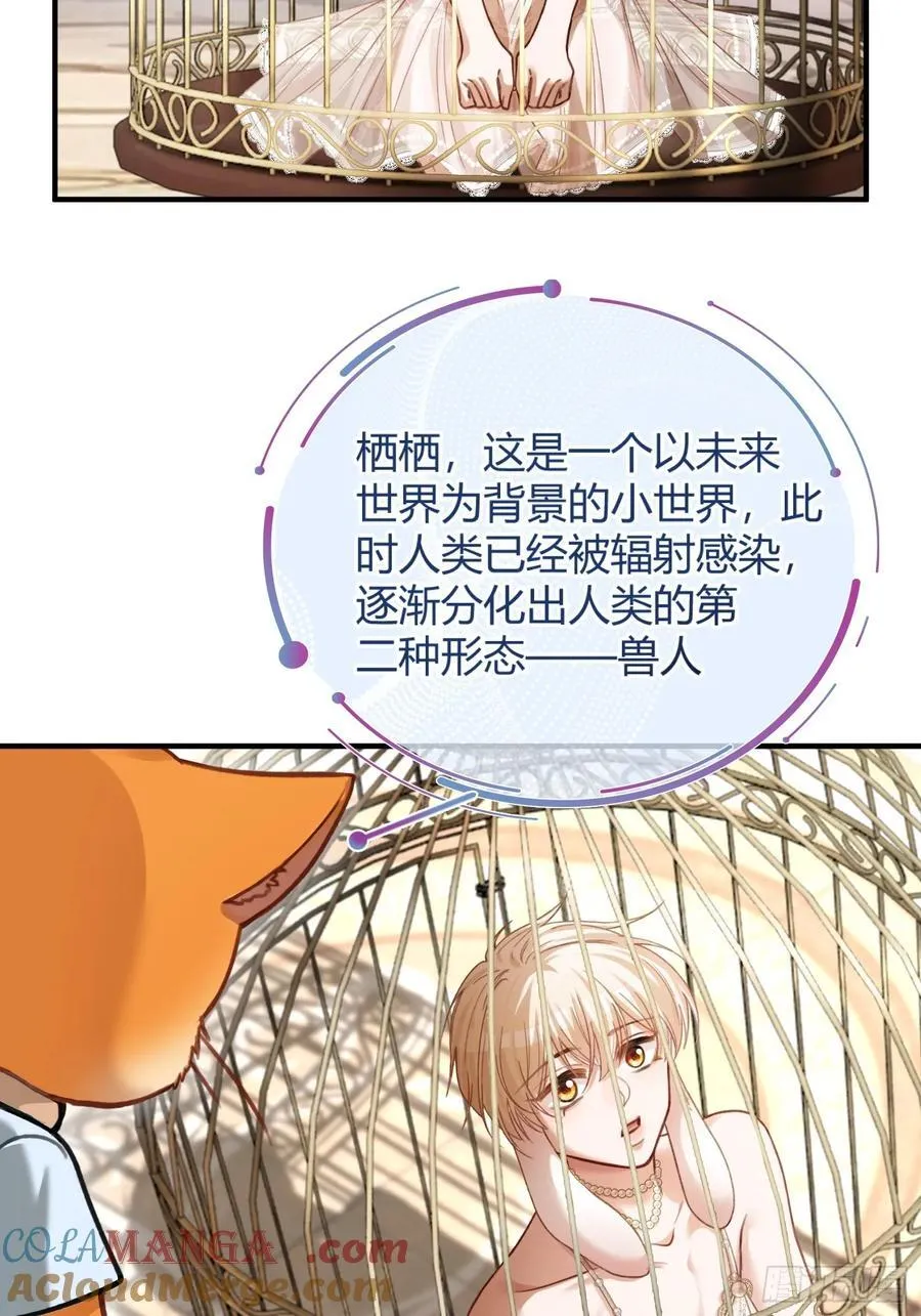 39 兔兔成了拍卖品？！12