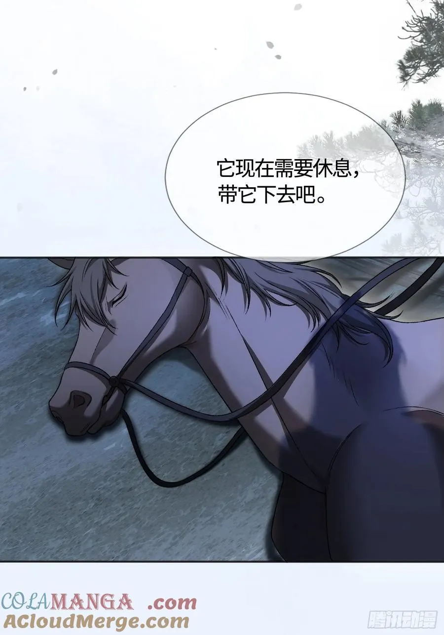 22 宠兔是一种本能18