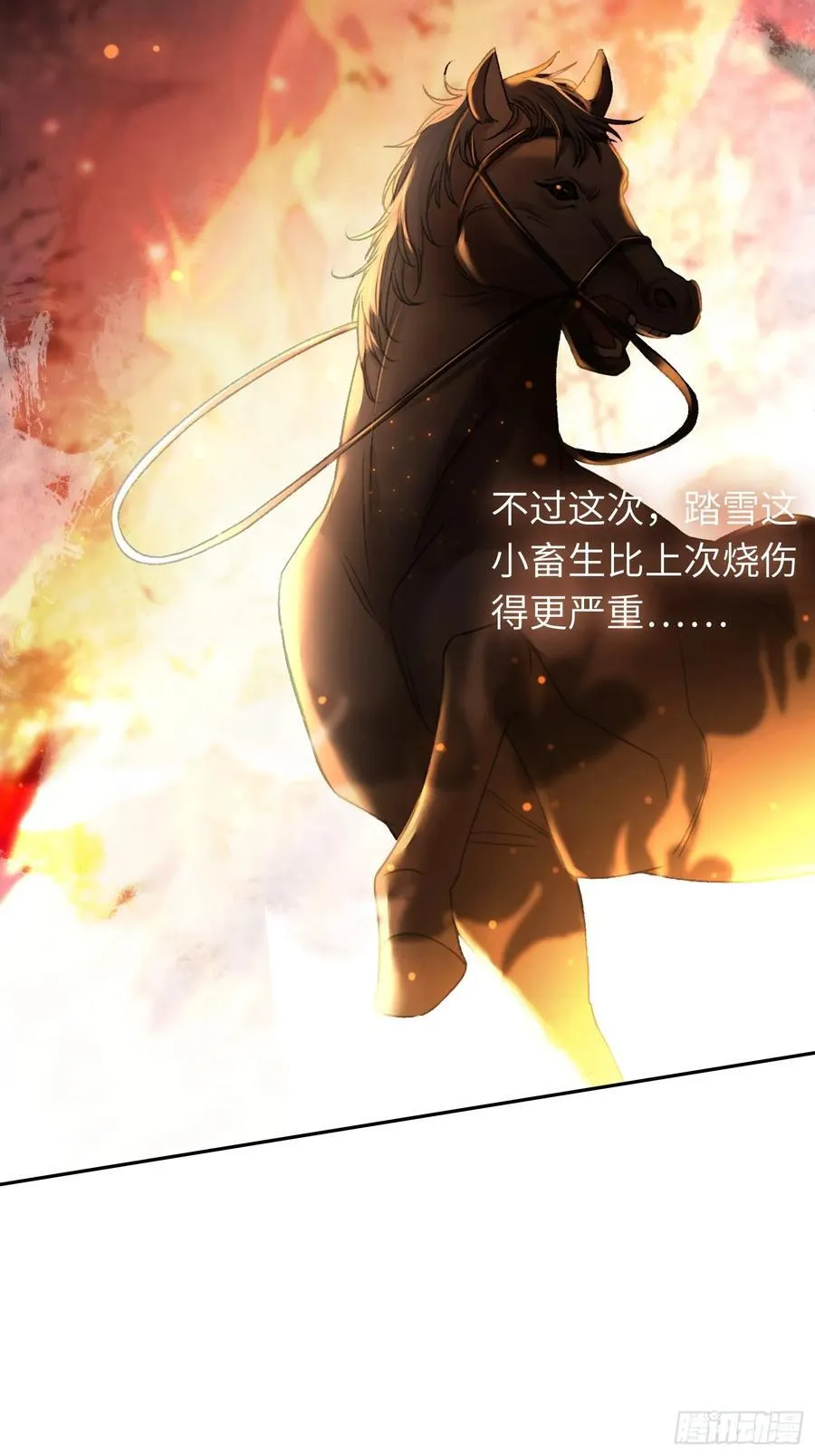22 宠兔是一种本能10
