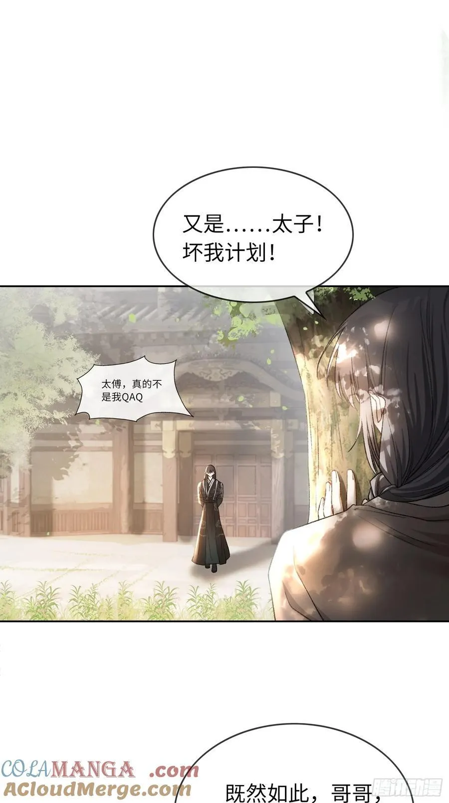 25 选太子妃18