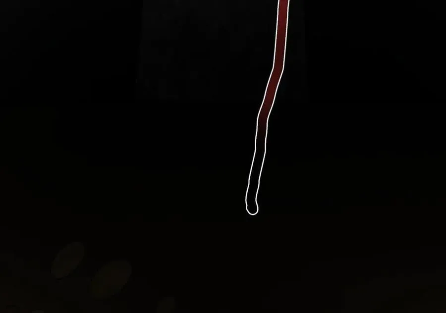 13 探访龙穴147
