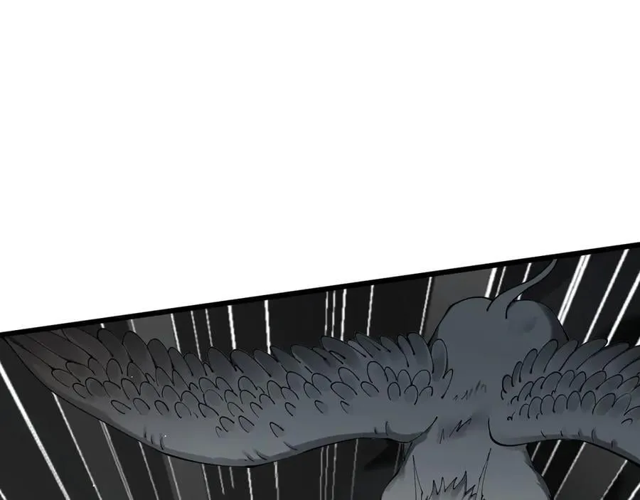 24 自爆？14