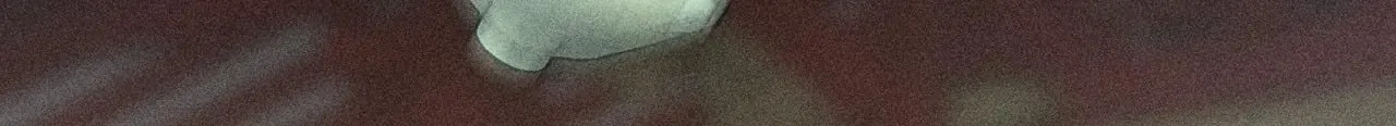 22 可是他欺辱你了？42