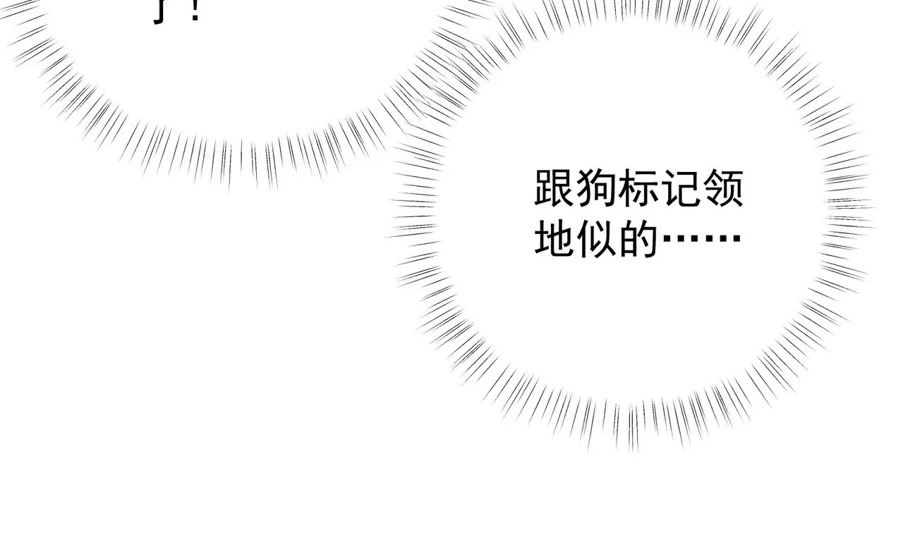 33 从来不清白26