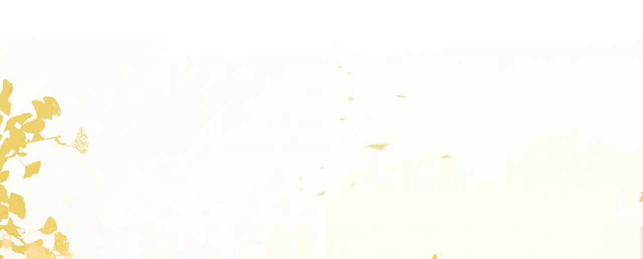 33 从来不清白74