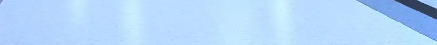 110 组合升级56