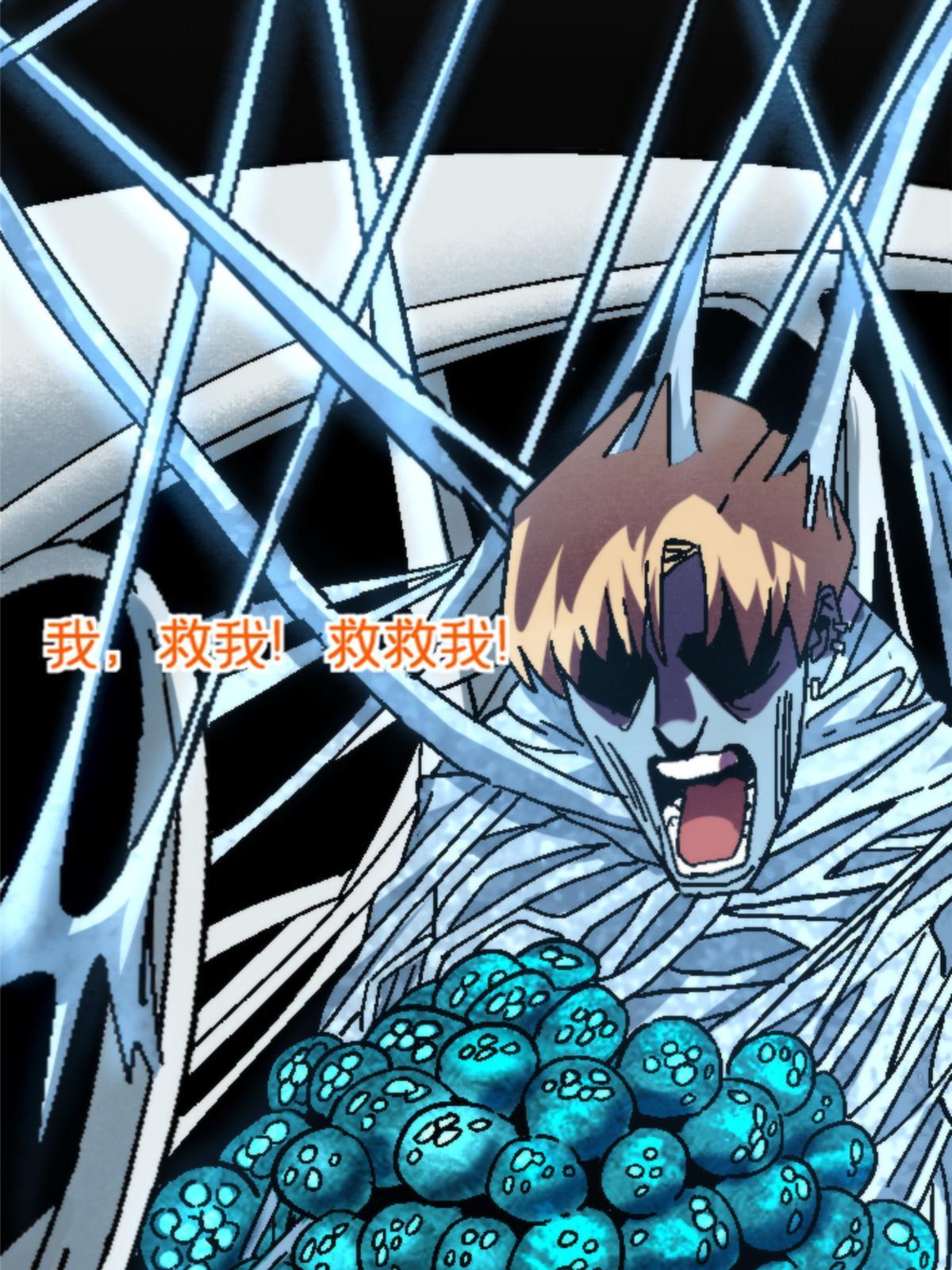 17 蛛网63