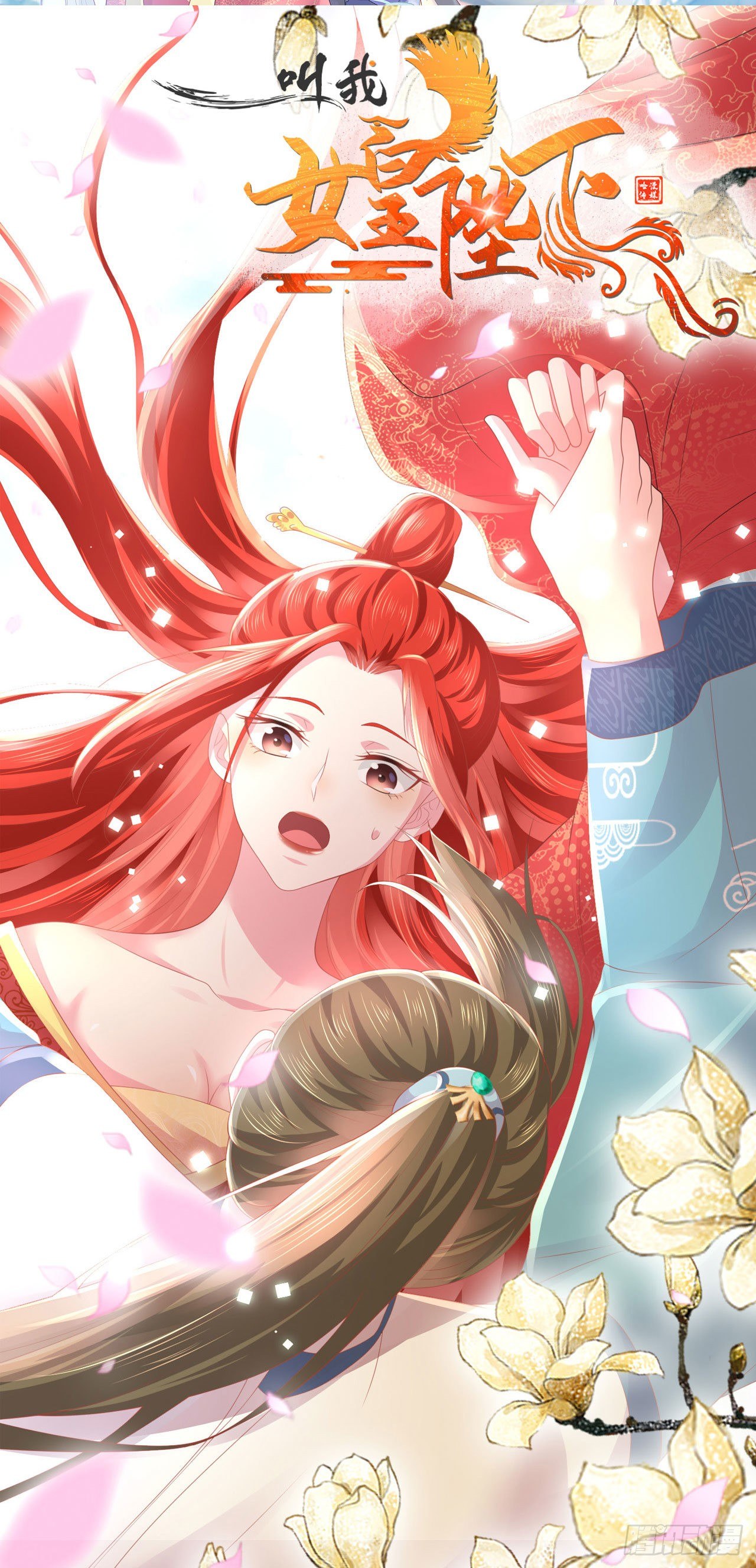 放料2—精美封面1