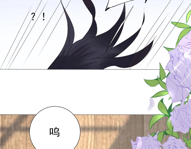 第13话  意外36