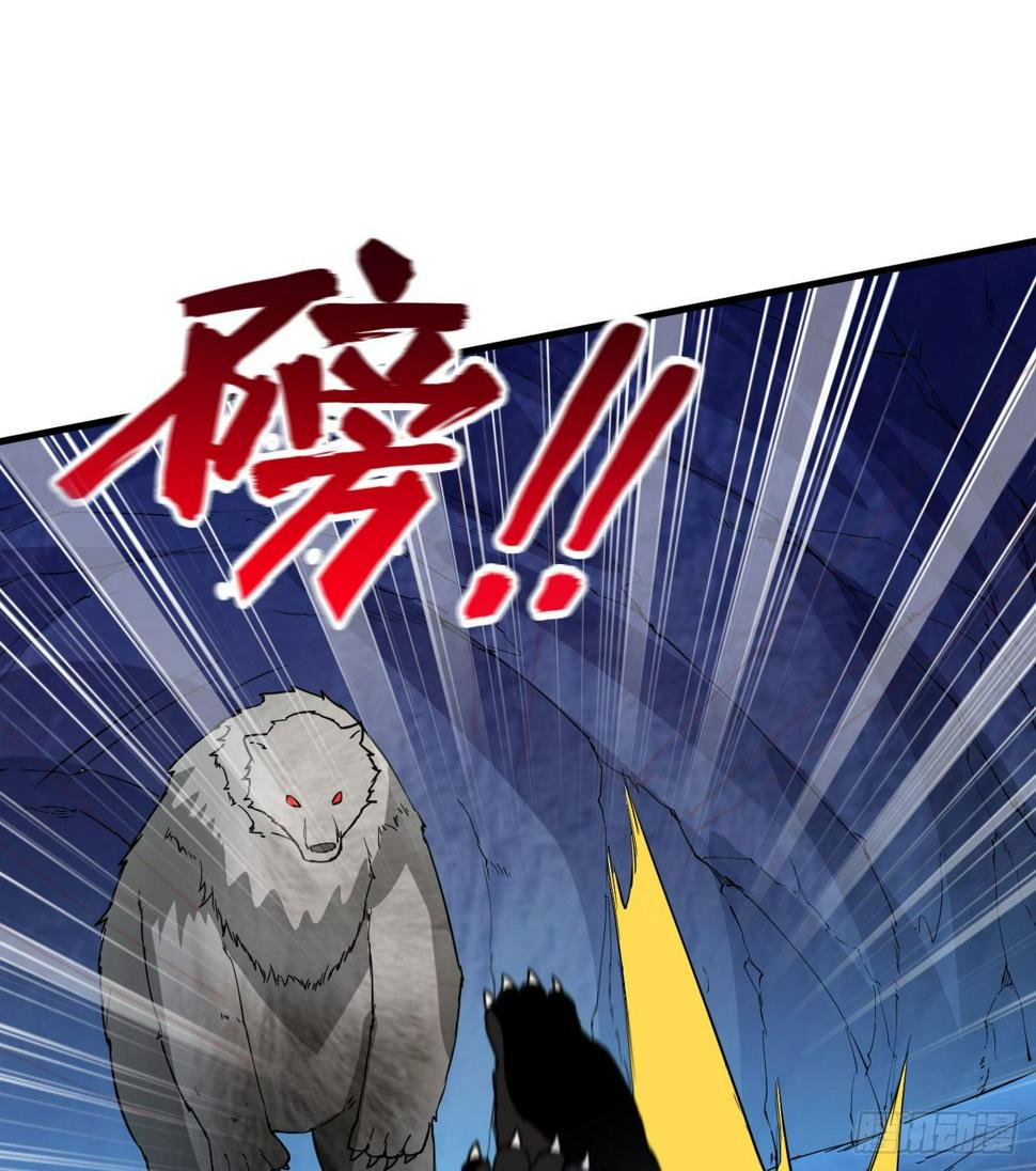 010 双熊斗46