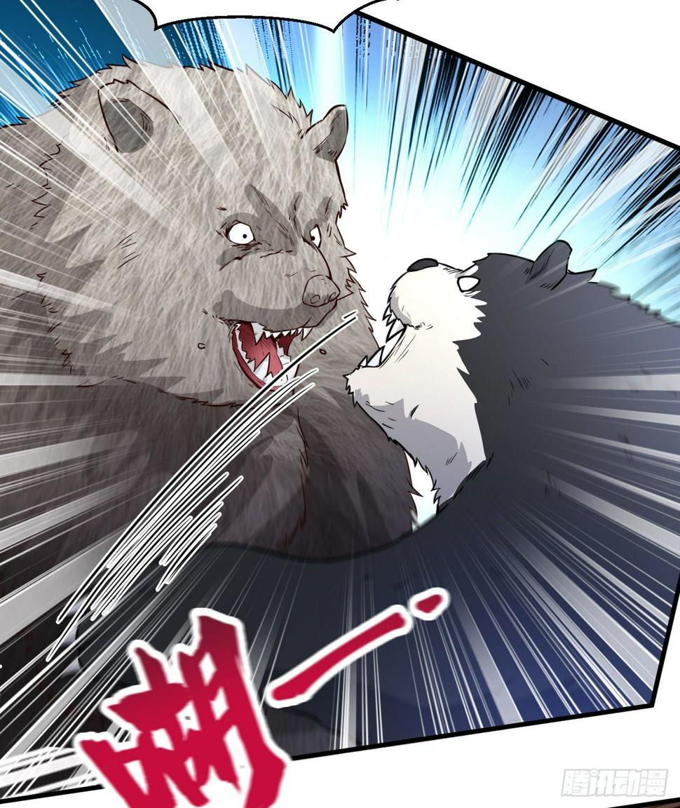 010 双熊斗43