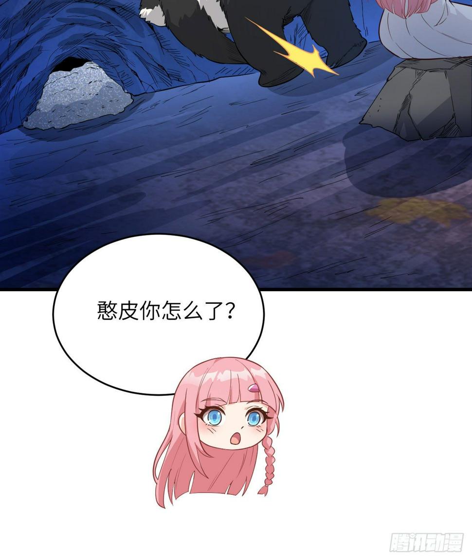 010 双熊斗34