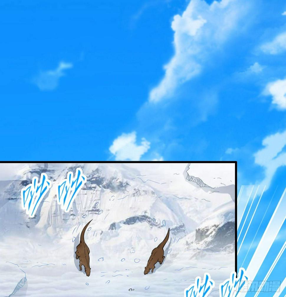 010 双熊斗1