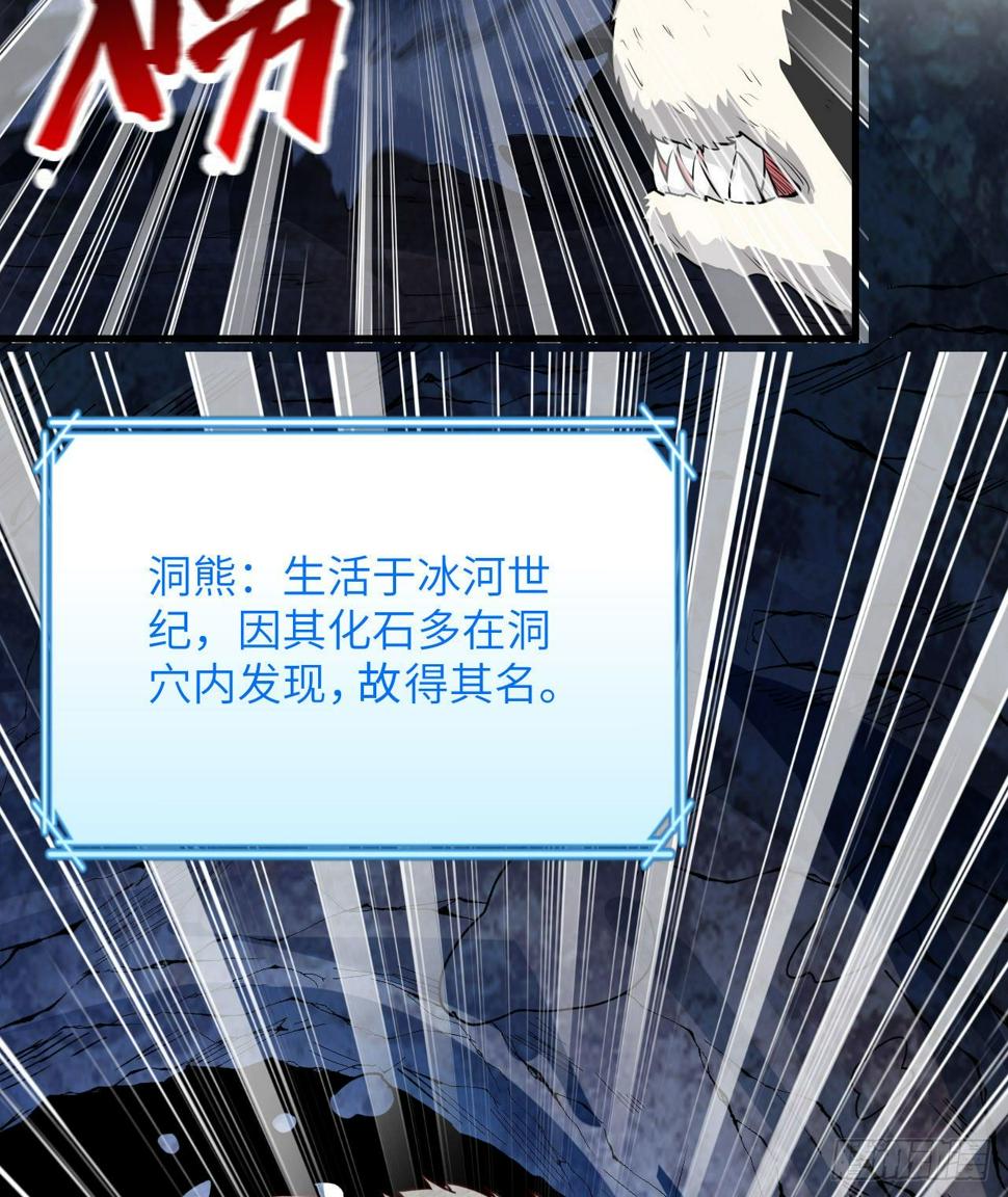 010 双熊斗36